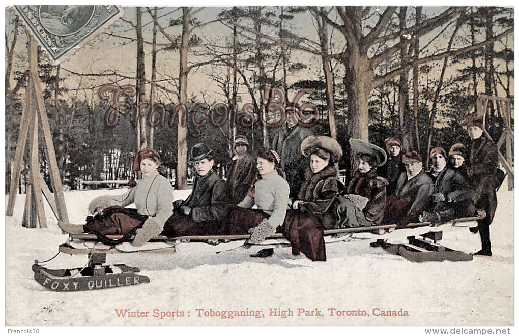 Canada - Toronto - Winter Sports : Tobogganing High Park - Foxy Quiller - Luge Sports D'hiver - Toronto