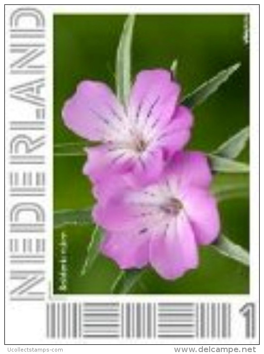 Nederland 2014-1  Bloem  Flower Blum Fleur Bolderik    Postfris/mnh/sans Charniere - Unused Stamps
