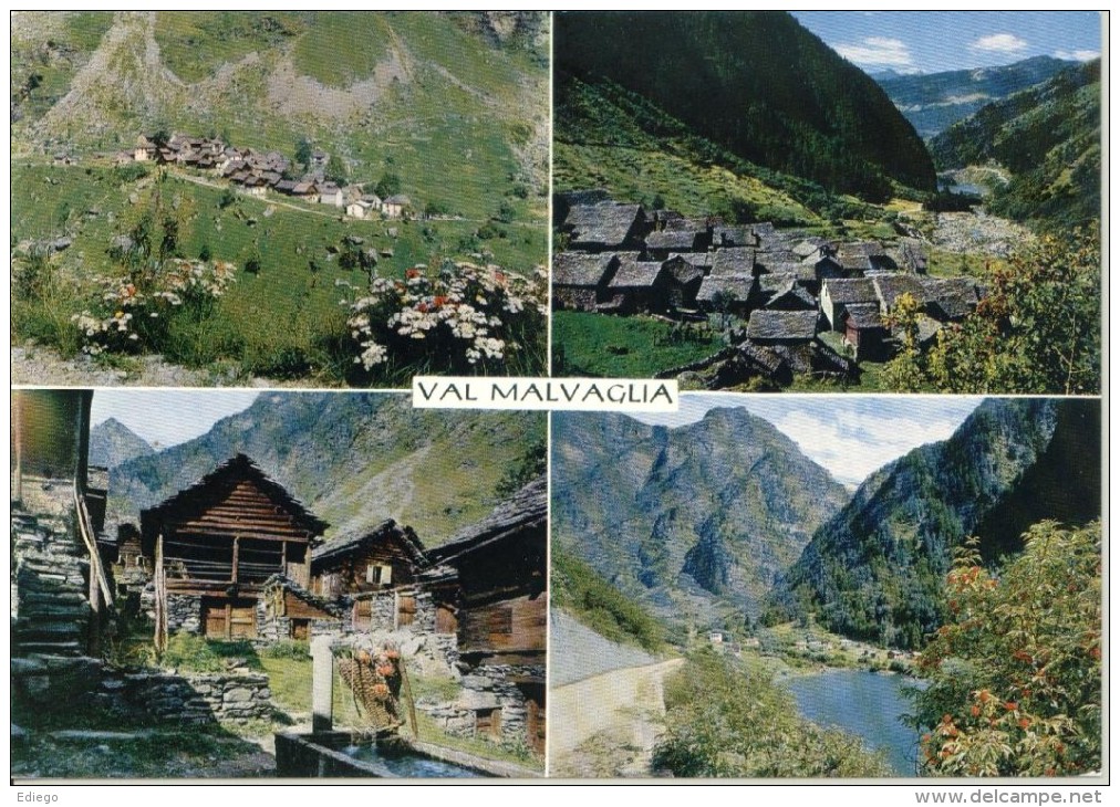 MADRA E DANDRIA  VAL MALVAGLIA - Malvaglia