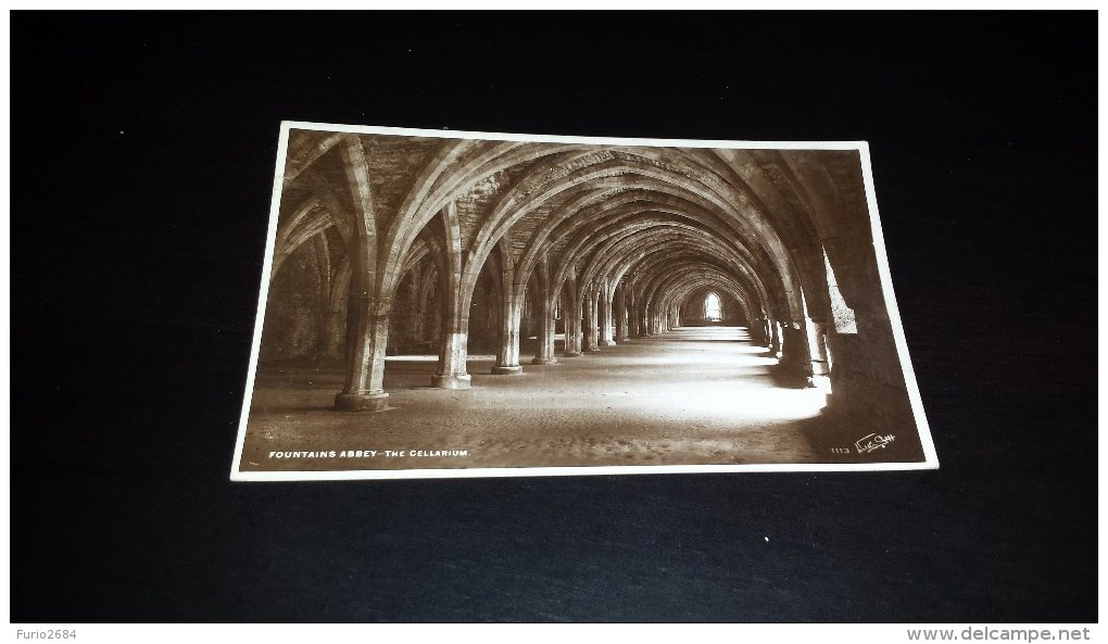 C-9039 CARTOLINA FOUNTAINS ABBEY - THE CELLARIUM - Bradford