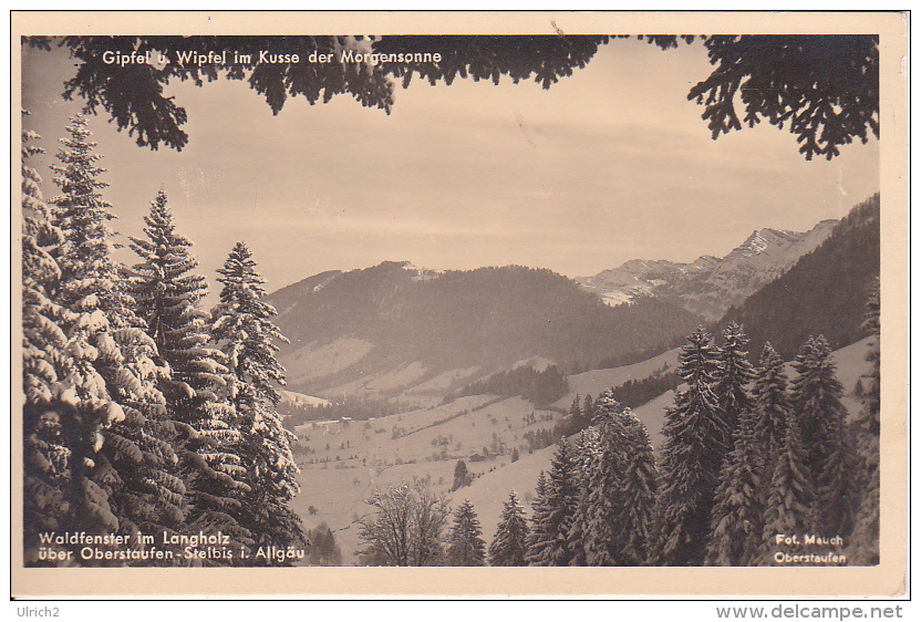 AK Waldfenster Im Langholz über Oberstaufen - Steibis Im Allgäu (6329) - Oberstaufen