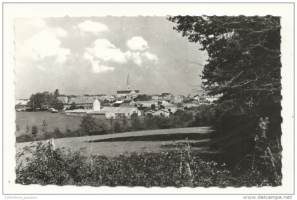 Cp, 79, Coulonges-Thonarsais, Vue Générale - Coulonges-sur-l'Autize