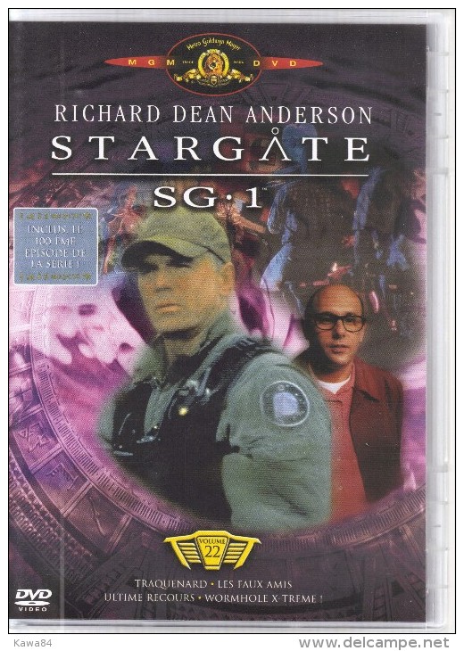 D-V-D Richard Dean Anderson " Stargate SG.1 " - Sciences-Fictions Et Fantaisie