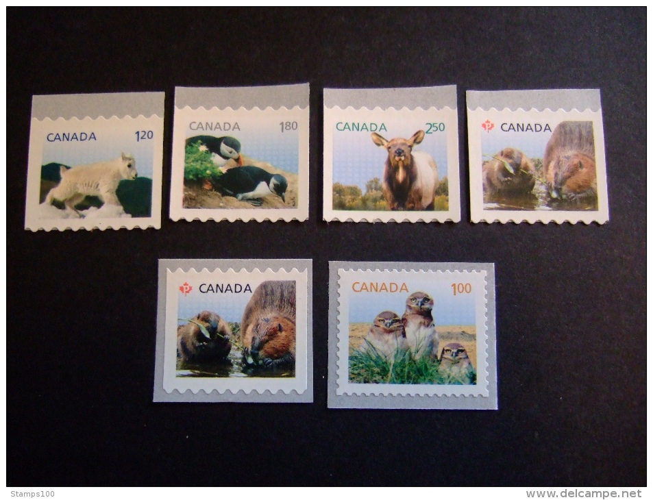 CANADA 2014 BABY WILDLIFE   4 X COILS VERTICAL  2 X COIL HORIZONTAL  MNH**  (053700-575) - Nuovi