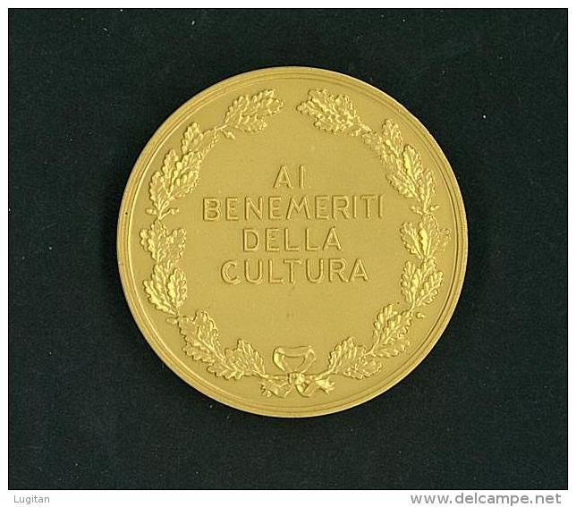 MEDAGLIA BRONZO SIMILORO - ISCR. AI BENEMERITI DELLA CULTURA - PREMIO LETTERARIO - 50 Gr. Diam . 50 Mm - Autres & Non Classés