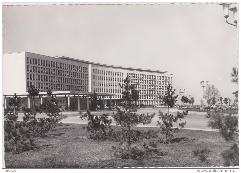 Serbie,belgrade,novi Beograd,savezno  Izvrsno  Vece,rare,1950 - Servië