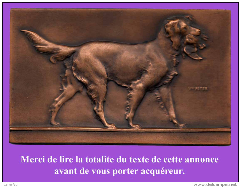 CHASSE, CHIEN De CHASSE : Médaille En Bronze Par V. PETER. Voir Description Et Photo. - Bronzes