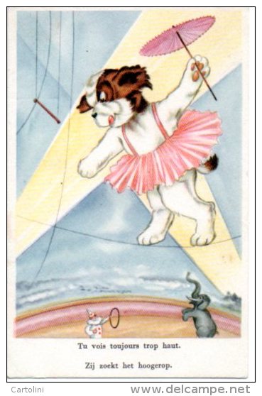 Circus Cirque Hond Chien Dog Hund Koorddanser Geklede Dieren   Fantasie Fantaisie Fantasy Fantasia - Dressed Animals