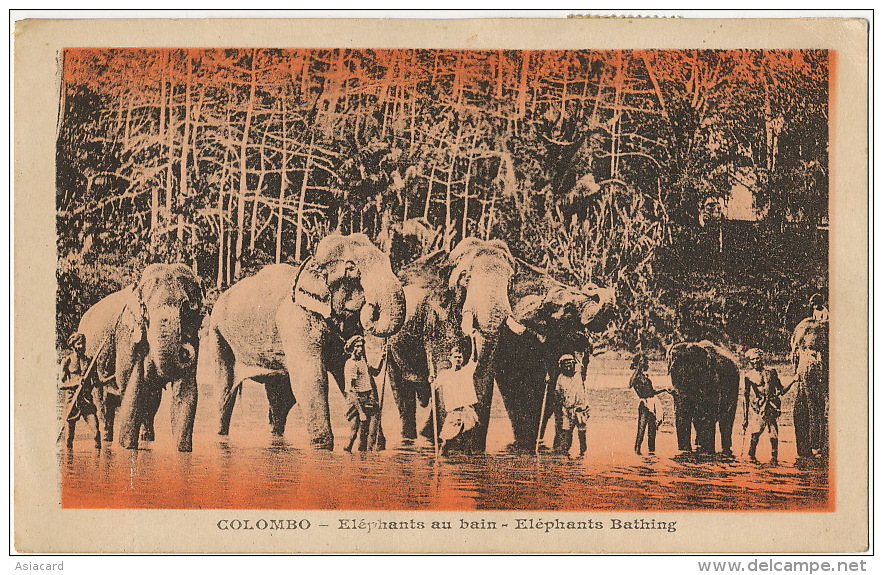 Ceylon Elephants Bathing Colombo Ship Cancel Marseille Yokohama Type Blanc Semeuse Mixte - Sri Lanka (Ceylon)