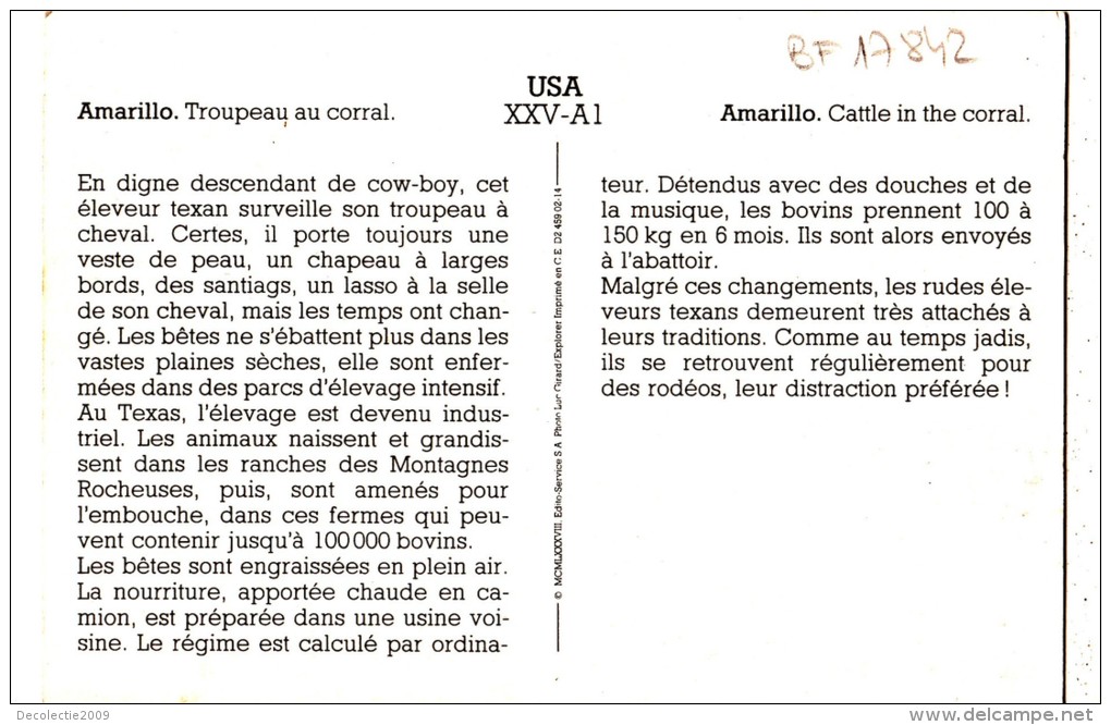 BF17842 Amarillo Troupeau Au Corral Texas USA  Front/back Image - Amarillo