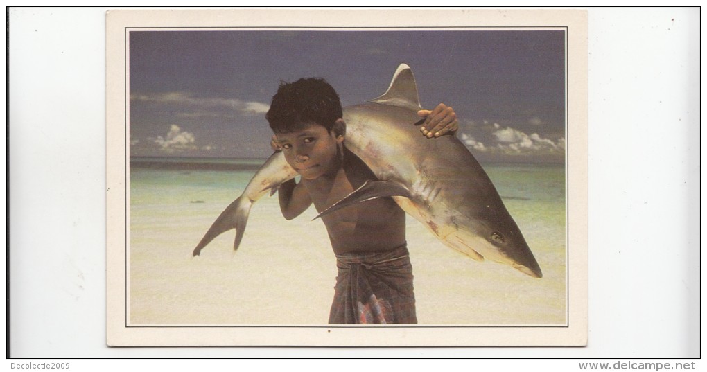 BF17841 Maldives Islands  Whithe Tipped Shark Types Child  Front/back Image - Maldives