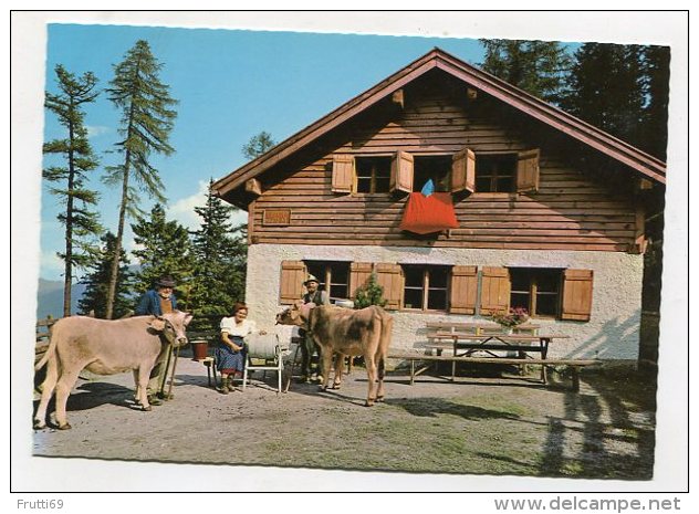 AUSTRIA - AK 201499 Kreither Alm - Grüße Von Der Alm - Altri & Non Classificati