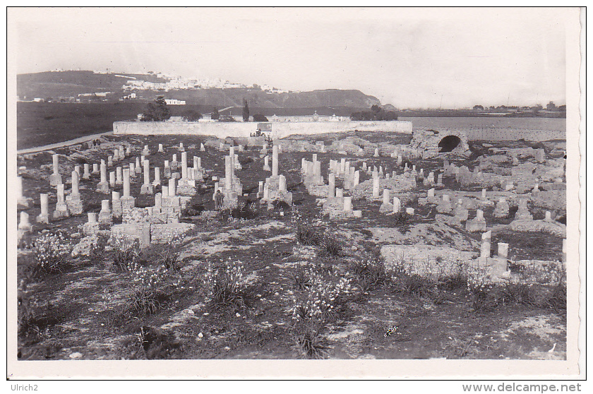 CPSM Ruines De Carthage - Basilique De Damous Karitas (6418) - Tunesien