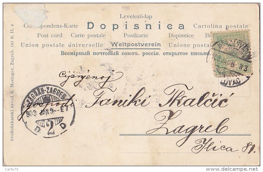 Croatie - Hongrie - Karlovac - Type Femme Paysanne - Coquelicot - Fine Postmarked 1903 Karlovac Zagreb - Croacia