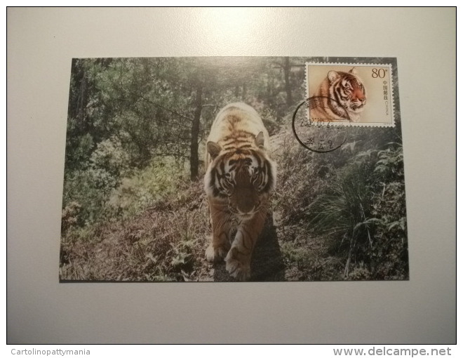 STORIA POSTALE FRANCOBOLLO  COMMEMORATIVO Cina China    Maximum Tigre  Tiger - Tigers