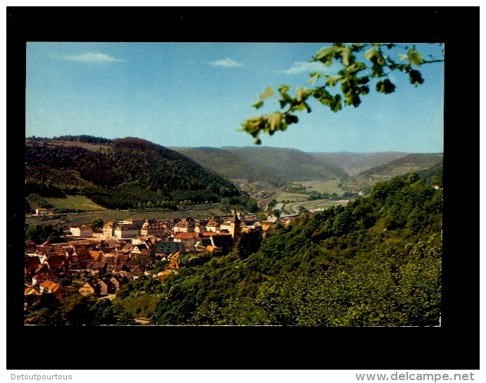 HORB AM NECKAR Schwarzwald Panorama Stadt Dorf  C.1970's - Horb