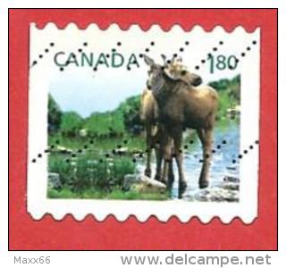 CANADA USATO - 2012 - Piccola Fauna Selvatica - Alce - Moose - Autoadesivo Bobina - 1,80 $ - Numero Stamp CA 2509 - Usados