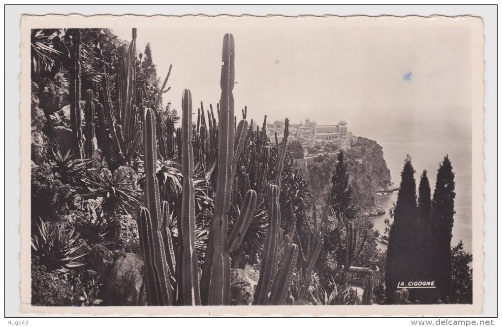 MONACO - N° 1435 - LES JARDINS EXOTIQUES - VUE SUR LE ROCHER DE MONACO - Jardin Exotique