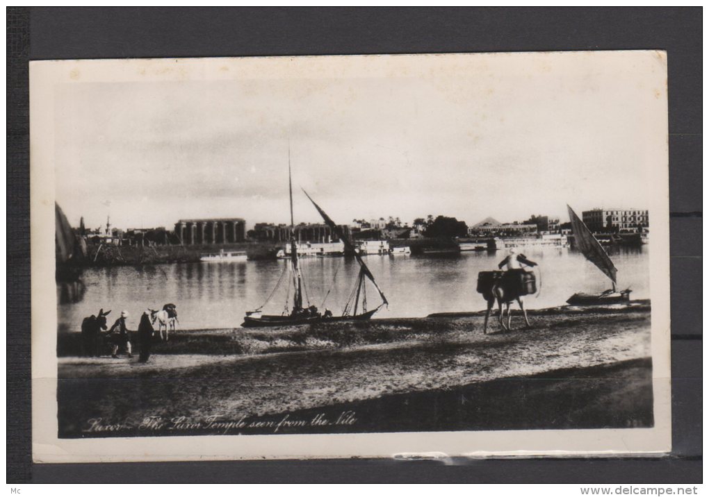 Egypte - Luxor - The Luxor Temple Seen From The Nile - Louxor