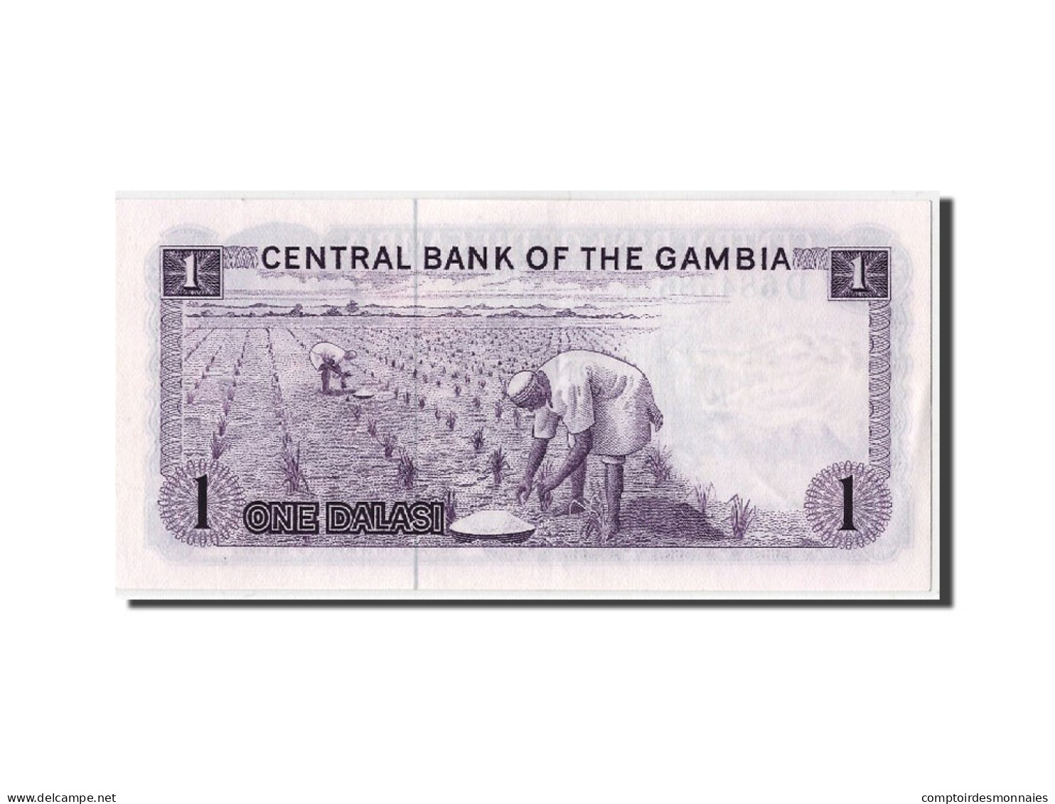 Billet, Gambia, 1 Dalasi, NEUF - Gambie