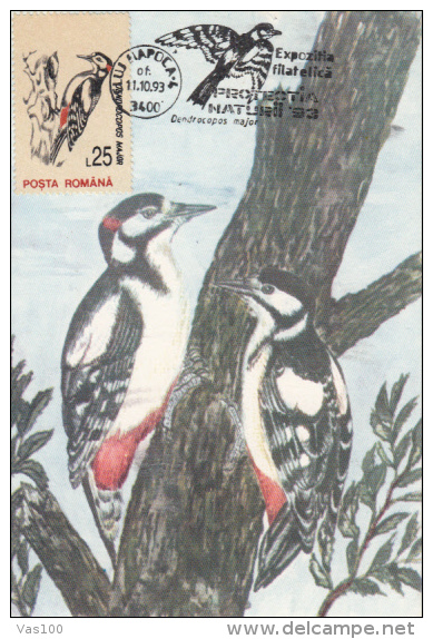 WOODPECKER, BIRDS, CM, MAXICARD, CARTES MAXIMUM, 1993, ROMANIA - Specht- & Bartvögel