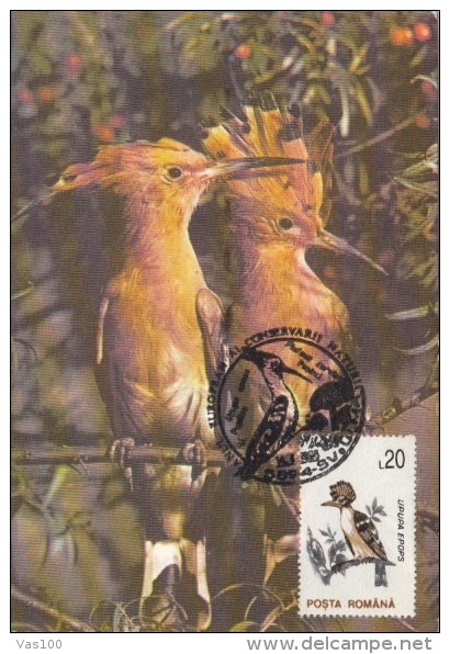 HOOPOE, BIRDS, CM, MAXICARD, CARTES MAXIMUM, 1993, ROMANIA - Piciformes (pájaros Carpinteros)
