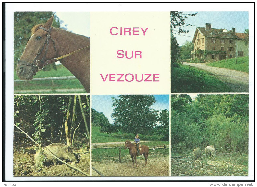 CIREY SUR VEZOUZE (M.et.M 54) Ecole D'équitation - Multivues Cavalière Cheval Sanglier (animée Voir Détails 2scan) MW877 - Cirey Sur Vezouze