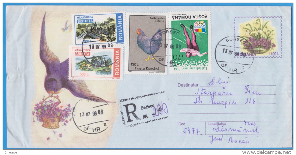Bird, Birds Swallow ROMANIA Postal Stationery 1999 - Zwaluwen