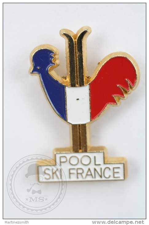 Pool Ski France - Pin Badge #PLS - Invierno