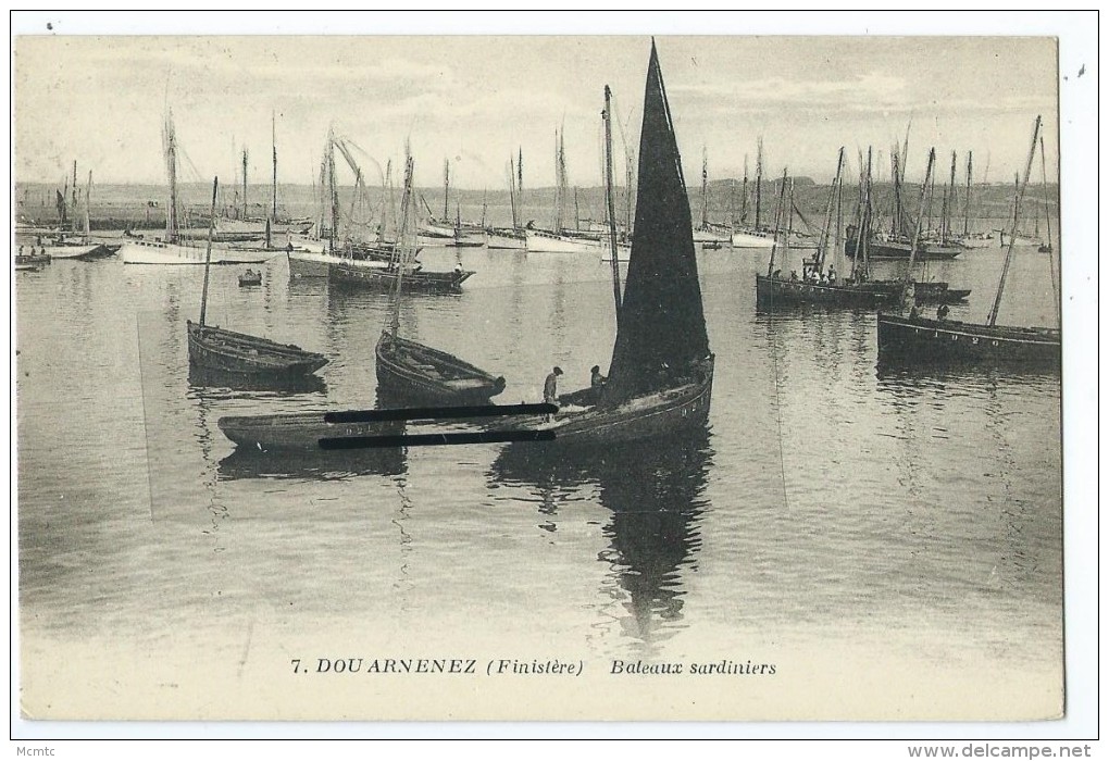 CPA - Douarnenez - Bateaux Sardiniers - Altri & Non Classificati