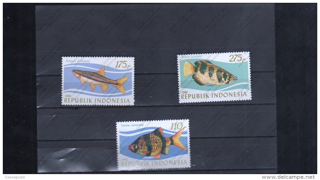 INDONESIA Nº 1005 AL 1007 - Fische