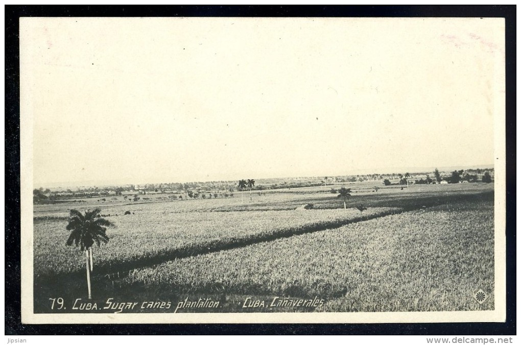 Cpa  De Cuba Sugar Cane Plantation   -- Cuba Canaverales   JUI1 - Cuba