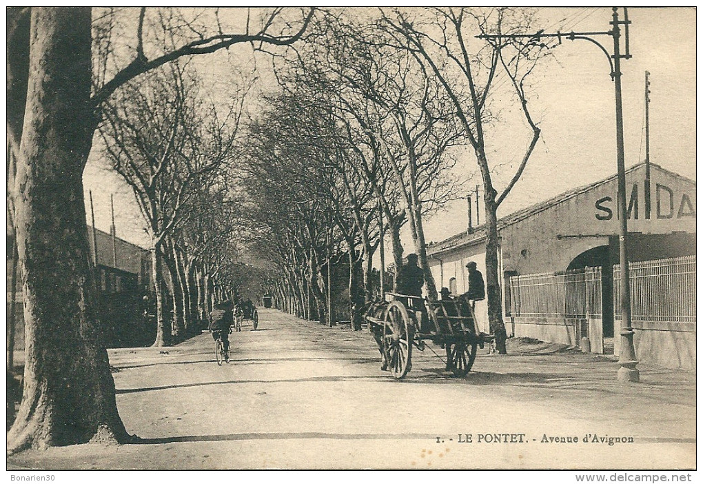 CPA 84 LE PONTET AVENUE D´AVIGNON BEL ATTELAGE   Peu Courante - Le Pontet