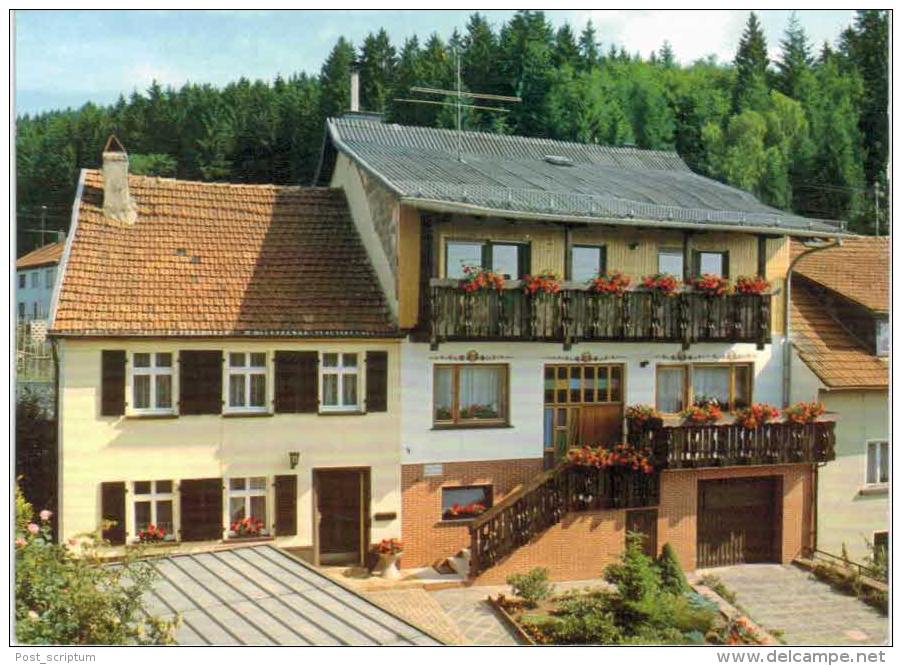 Allemagne - Losheim Waldhölzbach - Pension Hilde Schramm - Losheim