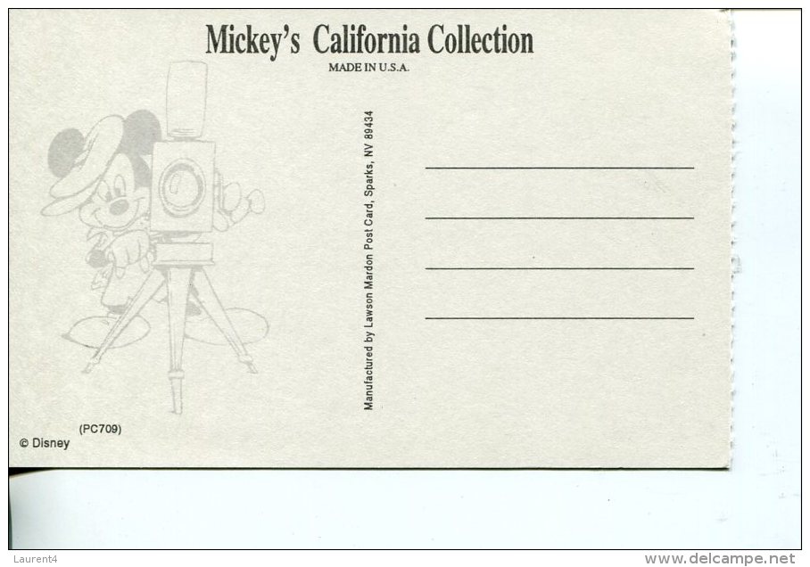 (822) Disney Mickey And Donal Duck - Disneyworld