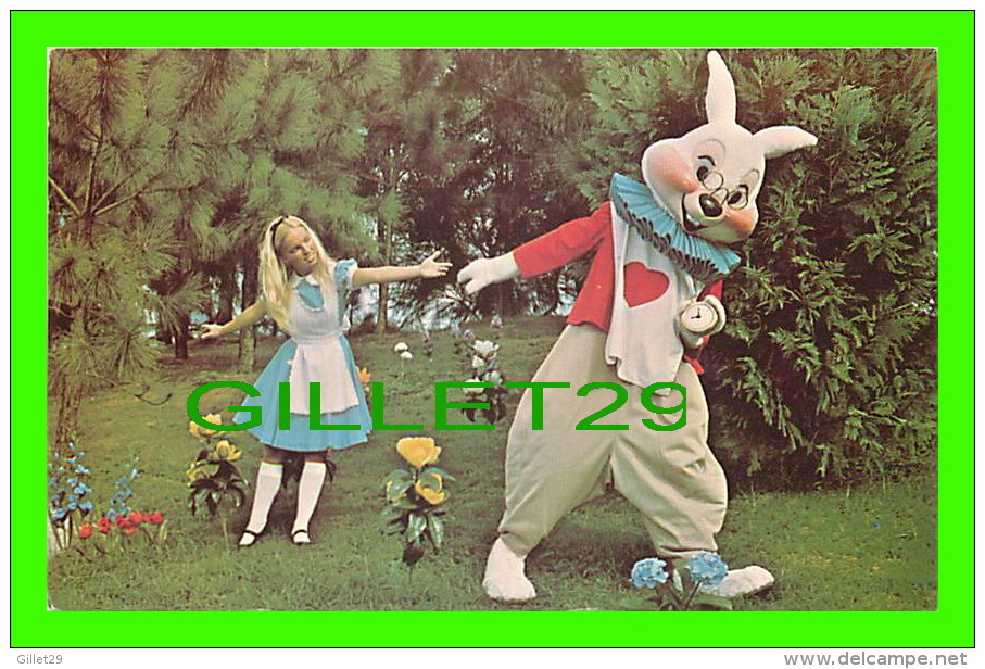 WALT DISNEY WORLD - HURRY ALICE... WE'RE LATE - WHITE RABBIT - - Disneyworld