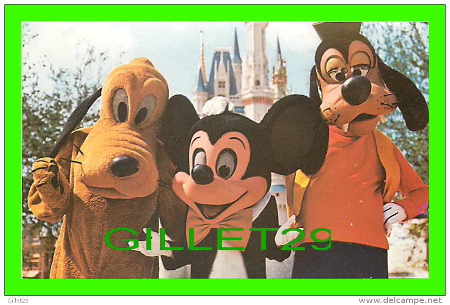 WALT DISNEY WORLD - MICKEY MOUSE, PLUTO & GOOFY - WELCOME TO THE MAGIC KINGDOM - - Disneyworld