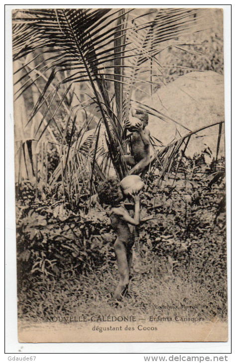 NOUVELLE CALEDONIE - ENFANTS CANAQUES DEGUSTANT DES COCOS - Nouvelle-Calédonie