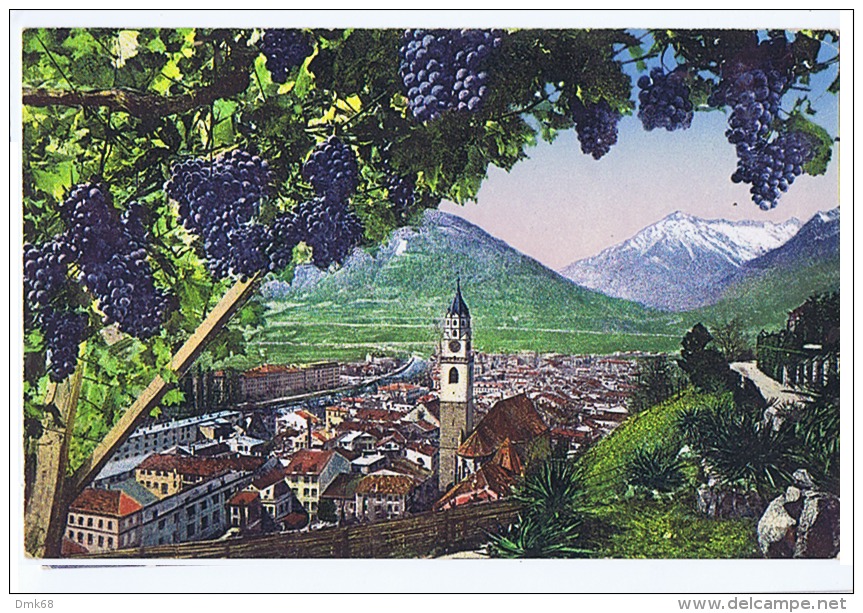 MERANO ( BOLZANO ) VOM TAPPEINERWEGE - EDIZ. LEO BAEHRENDT   - 384 - Merano