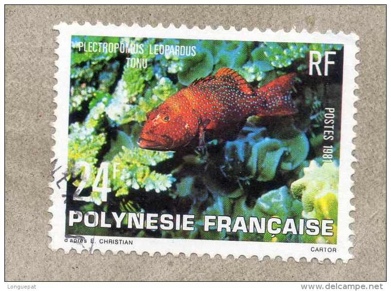POLYNESIE  : Poissons De Polynésie : Napoléon (Cheilinus Undulatus) - Famille Des Labridae -   Faune Aquatique - - Usati