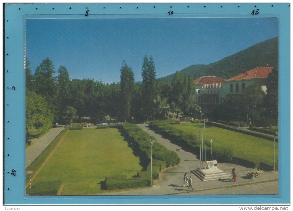 POÇOS DE CALDAS - Parque Do Palace Hotel - BRAZIL -  Ed. Brasil Turistico N.º 10 - 2 Scans - Autres