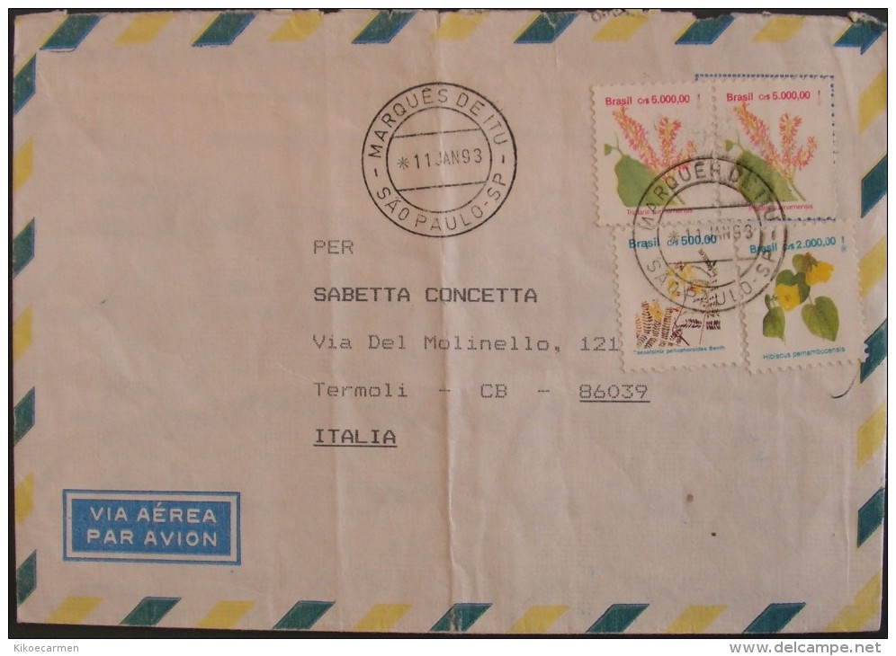 BRAZIL BRASIL BRASILE 1993 Flower Flowers Flora Plant Plants Letter Cover Used - Briefe U. Dokumente