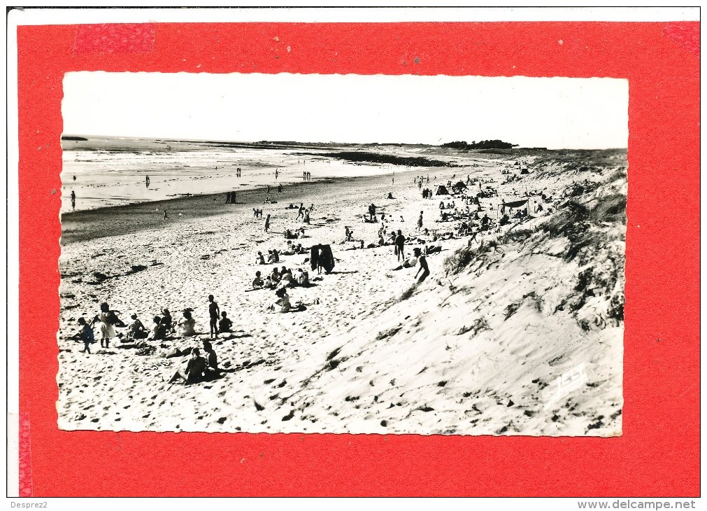 85 BRETIGNOLLES Cpsm Animée La Plage         821 Jehly - Bretignolles Sur Mer