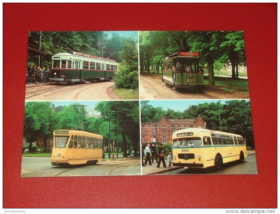 BRUXELLES -   Tram 830 Vers 1901, Tram 321 Vers 1935, Tram 9079 Vers 1960, Bus 8048 Vers 1957 - Transport Urbain En Surface