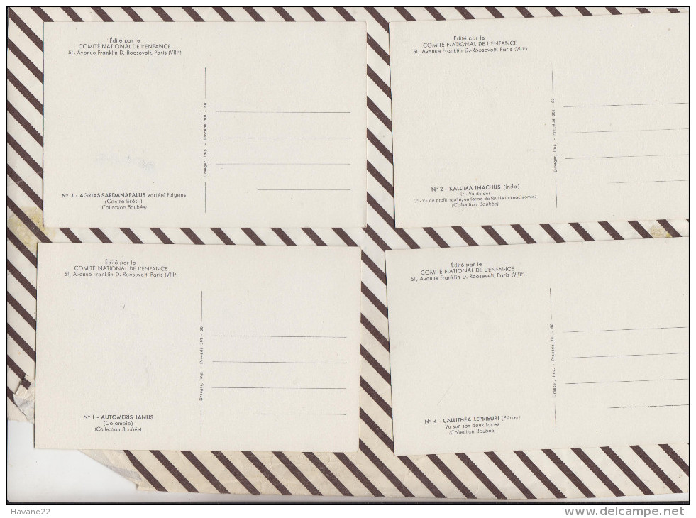 4AG279 Lot De 4 Cartes PAPILLONS 2 SCANS - Papillons