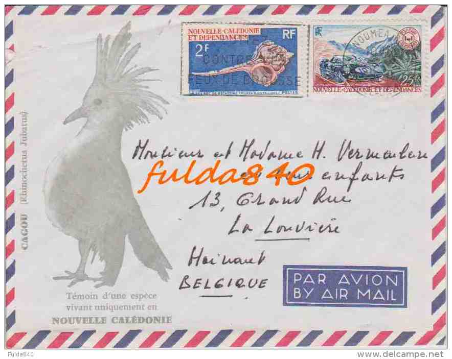 Enveloppe NOUVELLE CALEDONIE.   CAGOU - Témoin D'une Espèce Vivant Uniquement En... ( 1968.) - Covers & Documents