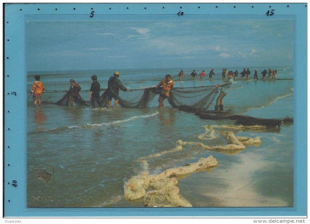 RIO GRANDE - Puxada De Rêde Na Praia Do Cassino - Molhes - BRAZIL -  Edicard N.º 752-08 - 2 Scans - Other