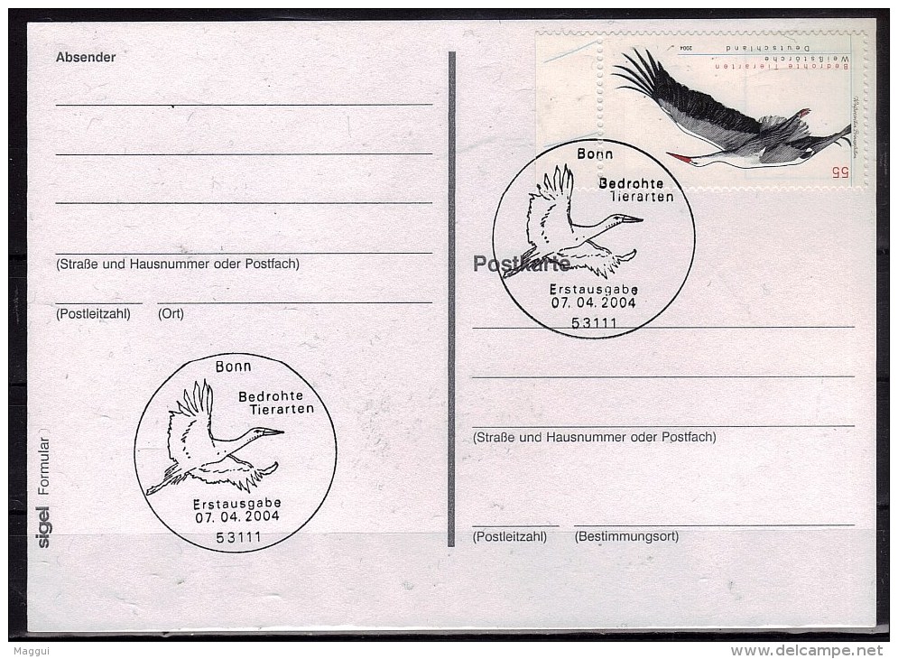 ALLEMAGNE  Carte  FDC   2004   Cigogne - Storks & Long-legged Wading Birds