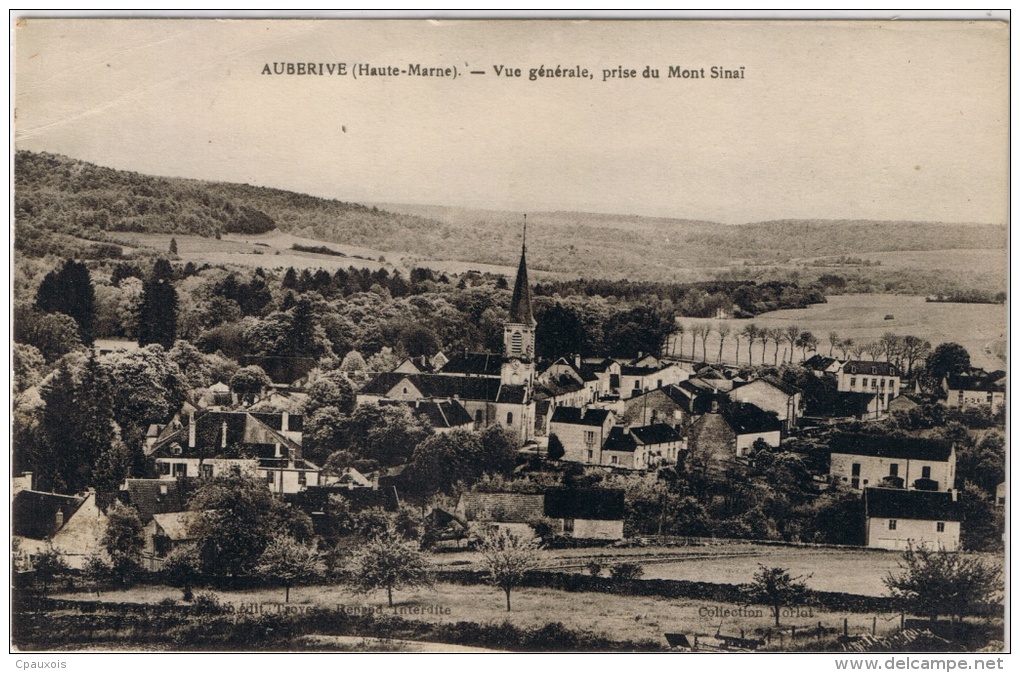 AUBERIVE Vue Générale, Prise Du Mont Sinaï - Auberive