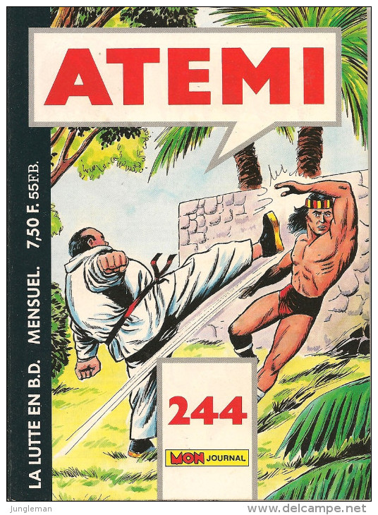 Atémi N° 244 - Editions Aventures Et Voyages - Mensuel - Avec Puma Noir - Johnny Hazard - Boxe - Janvier 1988 - TBE - Atemi